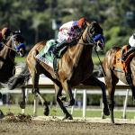 Potente Surges to San Felipe Score for Baffert, British Isles Takes Big Cap